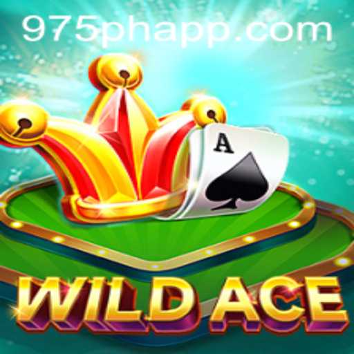 Explore the Thrills of WildAce